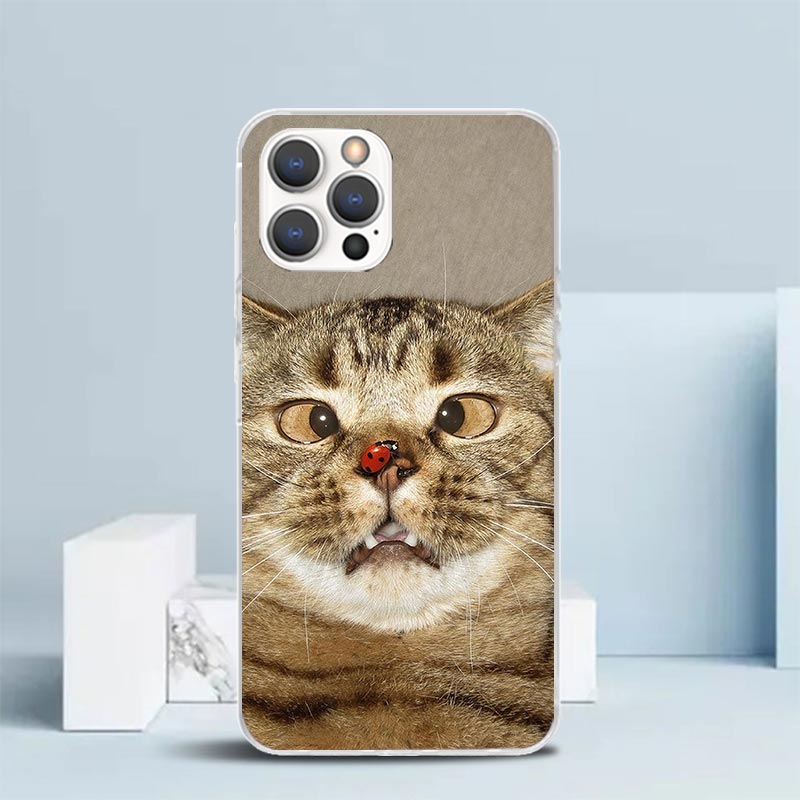 Etui na telefon iPhone 16 17 A – Phone Cases That Fit Iphone 16E recenzja i cena